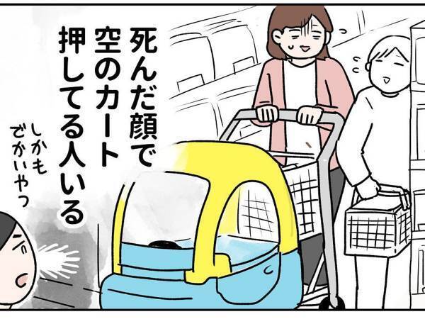 店で『空の子供用カート』を押す母親　その真相に「もう本当にこれ！」「分かりすぎて笑う」
