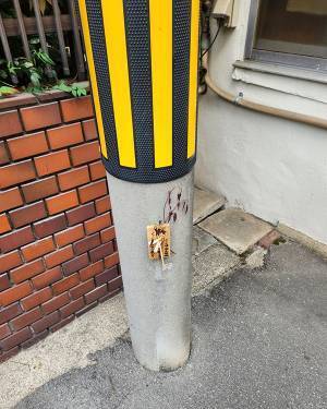 電柱にあった『呪いの木札』　書かれた言葉に「怒りがすごい」「発想に吹いた」