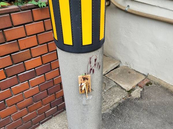 電柱にあった『呪いの木札』　書かれた言葉に「怒りがすごい」「発想に吹いた」