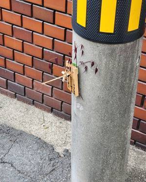 電柱にあった『呪いの木札』　書かれた言葉に「怒りがすごい」「発想に吹いた」