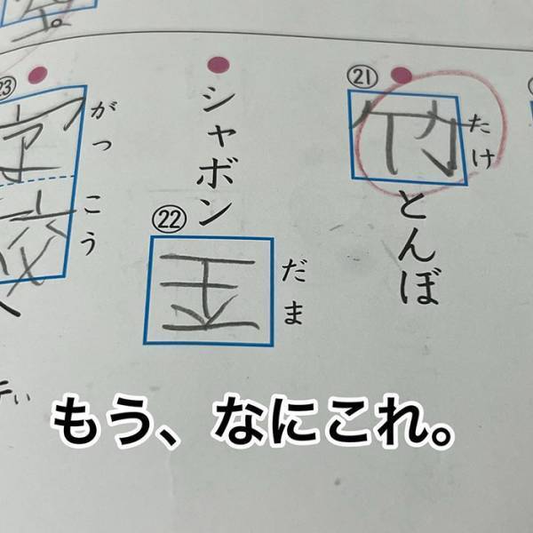 母「爆笑しながら丸付けしたぞ」　小２息子の『珍解答』にツッコミが止まらない