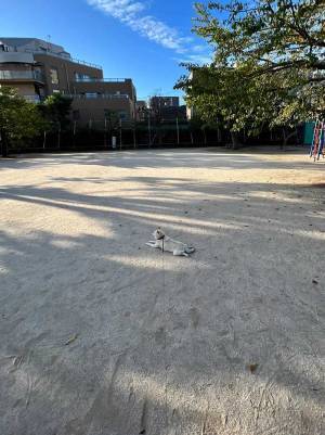「なりきっている～」「地面の守り神様？」　公園の真ん中にいたのは…