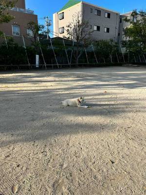 「なりきっている～」「地面の守り神様？」　公園の真ん中にいたのは…