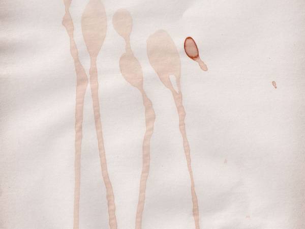 服に付いたコーヒーの染み　どうすれば落ちる？　方法に「ためになった」「やってみます」