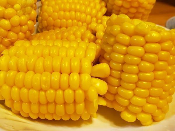 トウモロコシのレンチン加熱が「便利すぎる」　○○で包んで待つだけで？