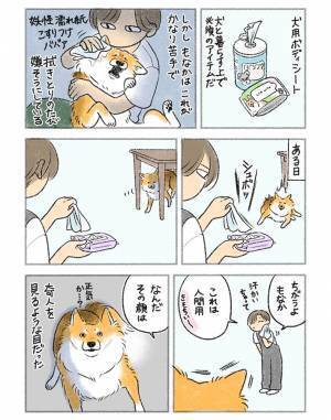 そんな目で見ないで…　ボディシートを使った時の、犬の『ドン引き具合』がすごい