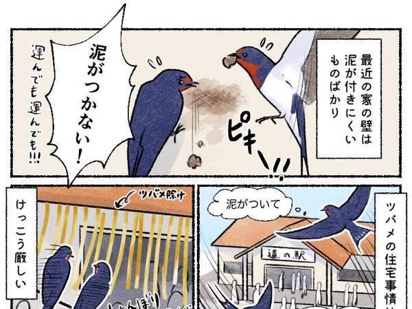 最近の『ツバメの住宅事情』　巣作りできる場所が減って、こんな結果に！