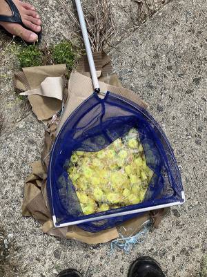 大学生が川で『乱獲』　まさかの展開に「そうはならんやろ！」「五度見したわ」