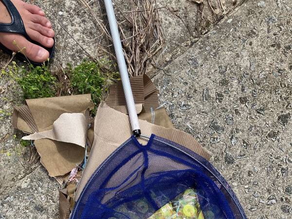 大学生が川で『乱獲』　まさかの展開に「そうはならんやろ！」「五度見したわ」