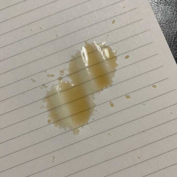 うっかりコーヒーをこぼしたら？　ノートの会社が教える再生方法に「もっと早く知りたかった」