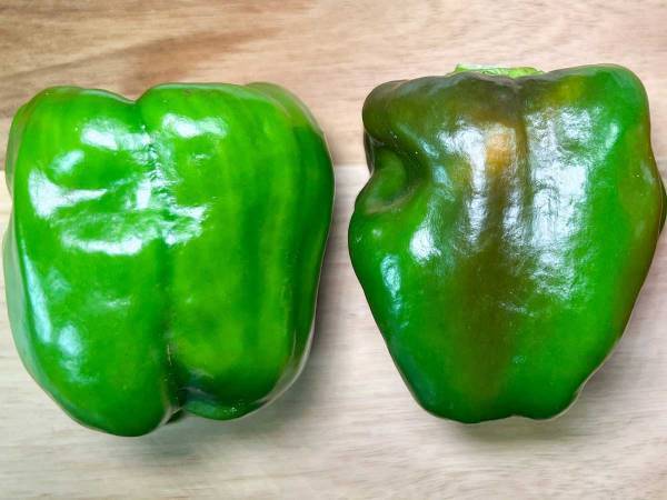 『黒くなったピーマン』は食べられる？　農家の投稿に「知らなかった」「気を付けよう」