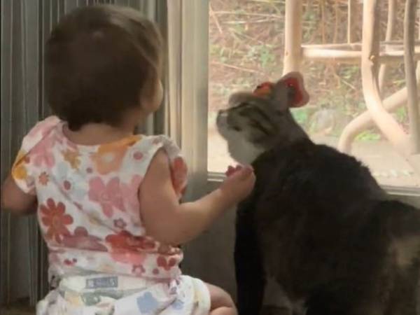 安楽死させられそうだった『攻撃的』な猫　赤ちゃんを見たとたん…「声出して泣いた」