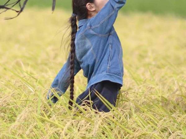 田んぼで撮った娘の写真　一緒に写っている動物に「なんて美しい」「映画みたい」