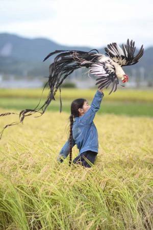 田んぼで撮った娘の写真　一緒に写っている動物に「なんて美しい」「映画みたい」