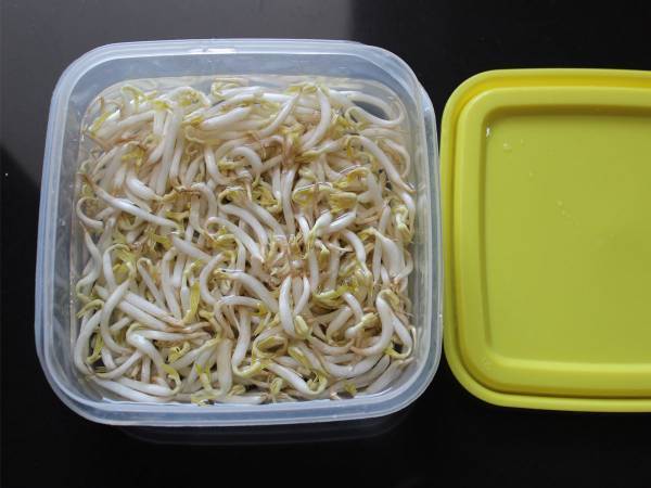 袋のまま冷蔵庫に入れがちな、もやし　実は『この方法』で保存したほうがよかった！