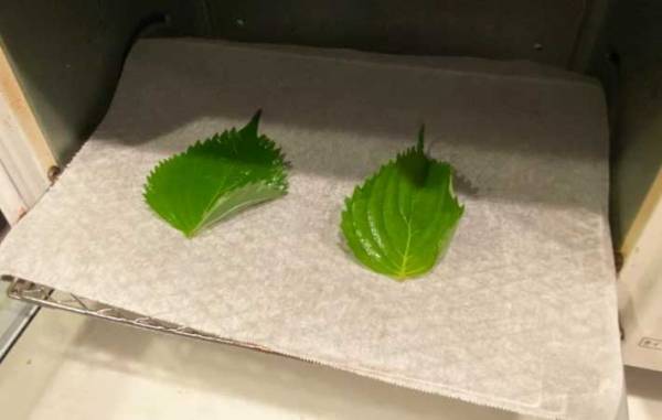 スライスチーズ、どうやって食べてる？　思わぬ２つの使い道に「パリッパリ」「どっちもいい」