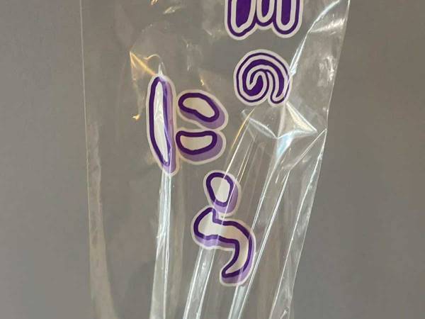 ニラを買ったはずなのに…　スーパーから帰宅したら手に持っていたのは？