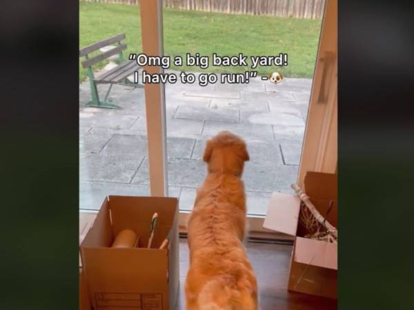 アパートから庭付きの家に引っ越した犬　見せた『行動』に「涙が出そう」「よかったね」