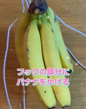家にあるアレで？　画期的なバナナスタンドに「この発想はなかった」「安上がり」