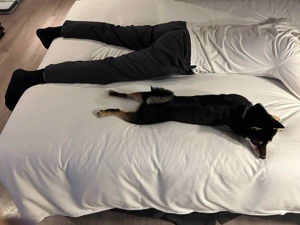 疲れて寝ている夫の隣を見てみると…　飼い主が目撃した光景に「かわいい～！」