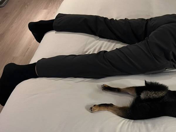 疲れて寝ている夫の隣を見てみると…　飼い主が目撃した光景に「かわいい～！」