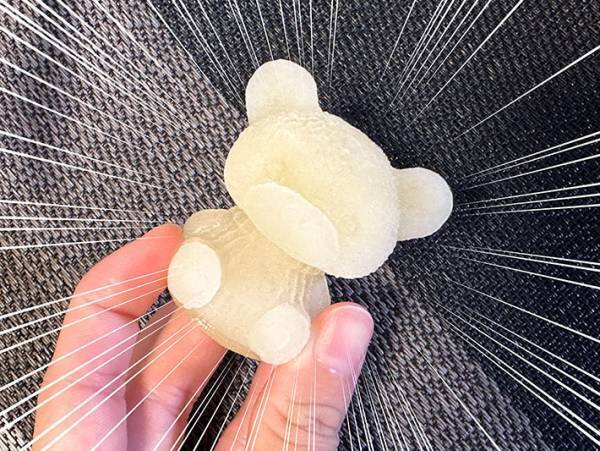 １００円ショップで見つけた『製氷型』　実際に作ってみると？　「可愛すぎる…」