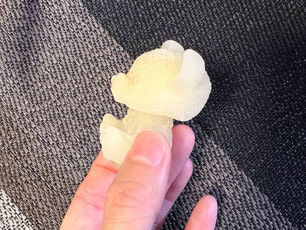 １００円ショップで見つけた『製氷型』　実際に作ってみると？　「可愛すぎる…」