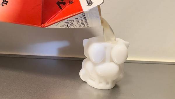 １００円ショップで見つけた『製氷型』　実際に作ってみると？　「可愛すぎる…」