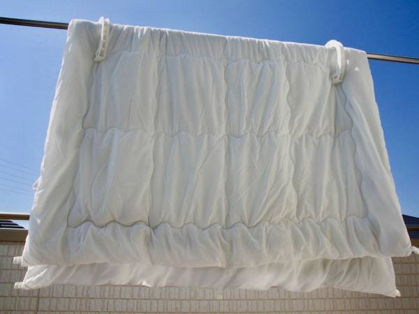 布団を干す時間帯、一番乾きやすいのは何時？　プロの解説に「なるほど」「意識します」