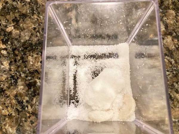 カチカチの塩とさよなら！　アレを入れるだけで、塩がいつでもサラサラになった