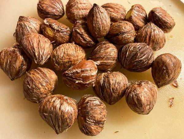 硬すぎる栗の鬼皮を手でツルっとむく方法に「もう悩まない」「早く知りたかった」