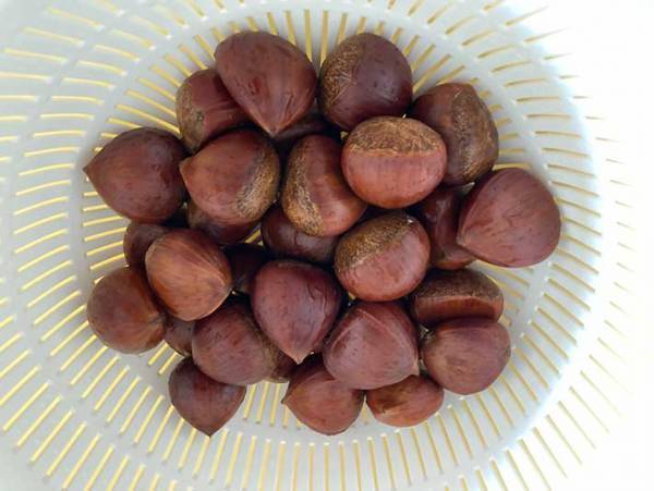 硬すぎる栗の鬼皮を手でツルっとむく方法に「もう悩まない」「早く知りたかった」