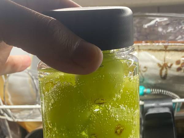 「これ考えた人スゲエな」　シャインマスカットの食べ方に「天才かよ！」