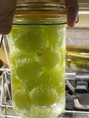 「これ考えた人スゲエな」　シャインマスカットの食べ方に「天才かよ！」