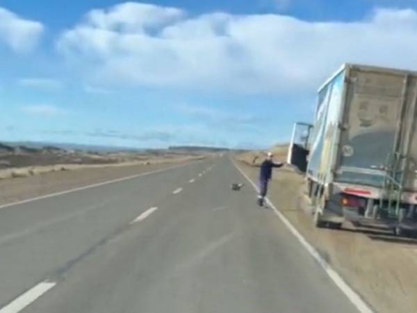 「マントなしのヒーローを目撃した」　道路で撮影された３９秒間の動画に拍手喝采！