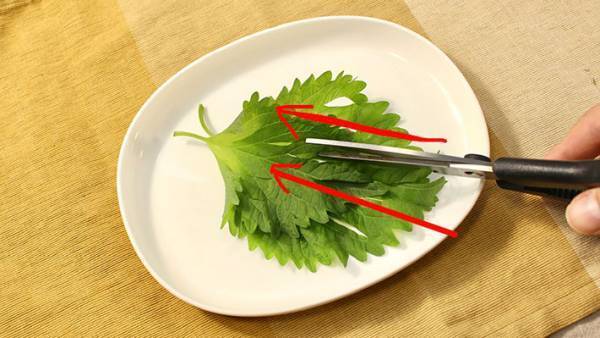 洗い物を減らせる！　大葉を『みじん切り』にする方法が「取り入れたい」