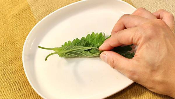 洗い物を減らせる！　大葉を『みじん切り』にする方法が「取り入れたい」