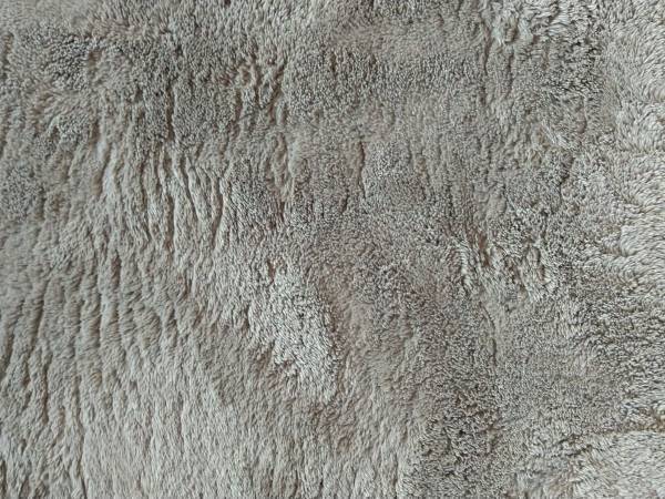 ダニが大繁殖する家の条件とは？　秋に注意が必要な理由に「知らなかった」「なるほど」