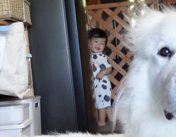 飼い主「う、後ろ後ろ～！」　大型犬の背後を見ると？