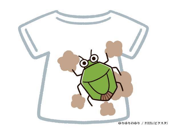 カメムシが勝手にポトン！　ペットボトルですぐに作れるトラップに、注目集まる