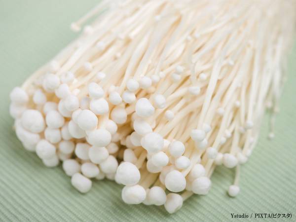 キノコを上手に保存すれば、１か月も保存が可能！　ライオンが公開した方法が…