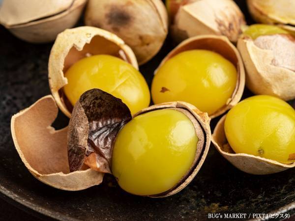 銀杏を紙封筒に入れて…？　「まじで簡単」「この食べ方めっちゃ好き」