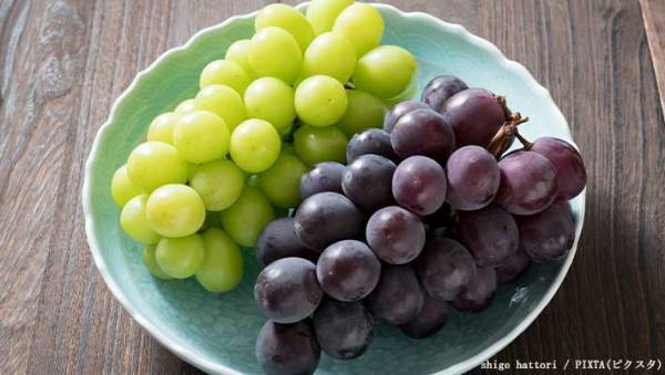 ぶどう農園「種は食べても大丈夫！」　プロおすすめの『巨峰の食べ方』にビックリ