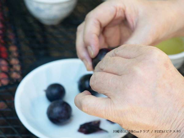ぶどう農園「種は食べても大丈夫！」　プロおすすめの『巨峰の食べ方』にビックリ
