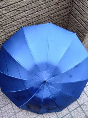 意外と知らない日傘の寿命　吹きかけるだけで復活する○○とは？