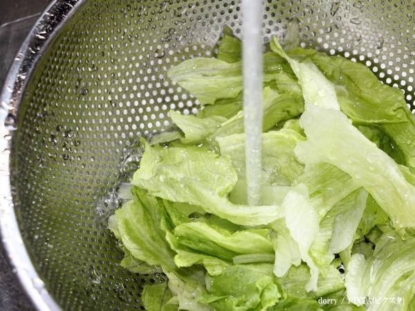 すぐ傷んでしまうレタス　鮮度を保つ方法に「そうだったのか！」「今からやる」