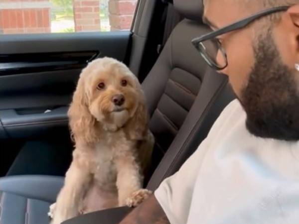 飼い主「きみは前世で人間だったの？」　犬のリアクションにネットが騒然！