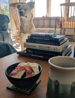 「見ない見ない見ない」　目の前には食べ物…必死に耐えている表情に「笑った」