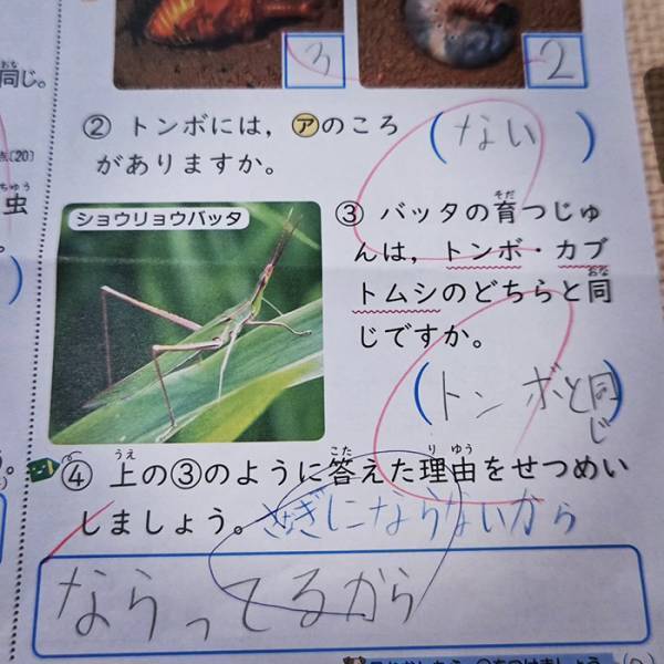 息子のテストに、父「違う、そうじゃない」　ある意味満点の解答にツッコミ！