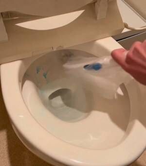 １枚の◯◯で雑菌まみれを防ぐ！　トイレブラシを汚さずに使えるテクニックに「やるしかない」